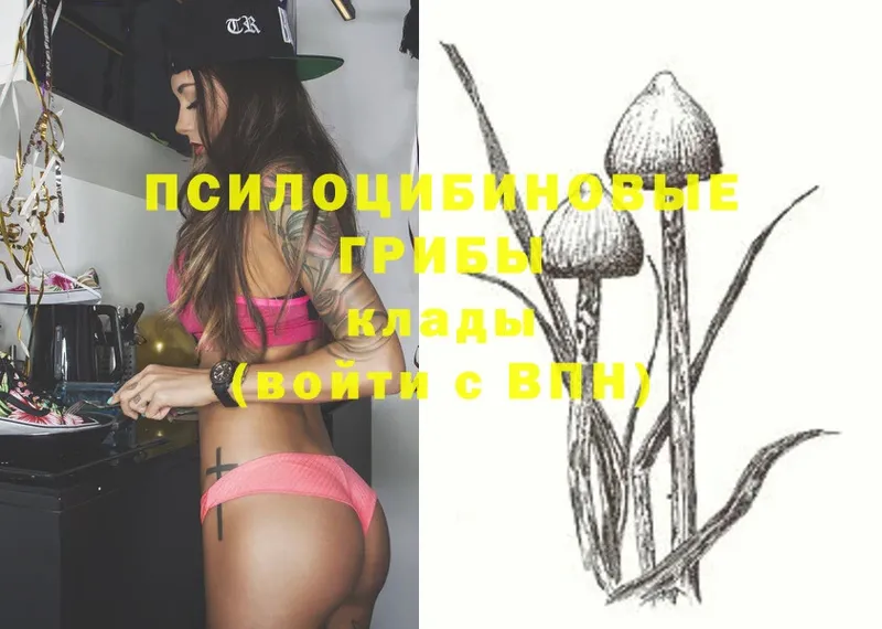 Галлюциногенные грибы MAGIC MUSHROOMS  купить наркотик  Нолинск 